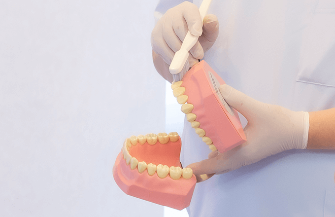歯とお口の健康を維持する予防を重視